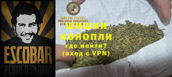 метадон Белокуриха