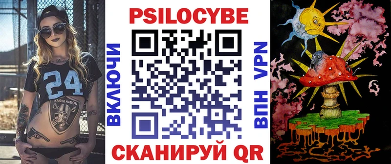 дарнет шоп  Вязьма  Псилоцибиновые грибы GOLDEN TEACHER 